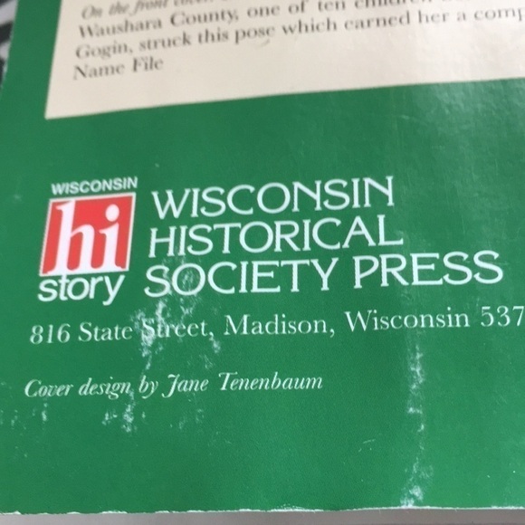 Irish In Wisconsin Paperback by David G. Holmes 2004 𝅺☘️ - Picture 6 of 6